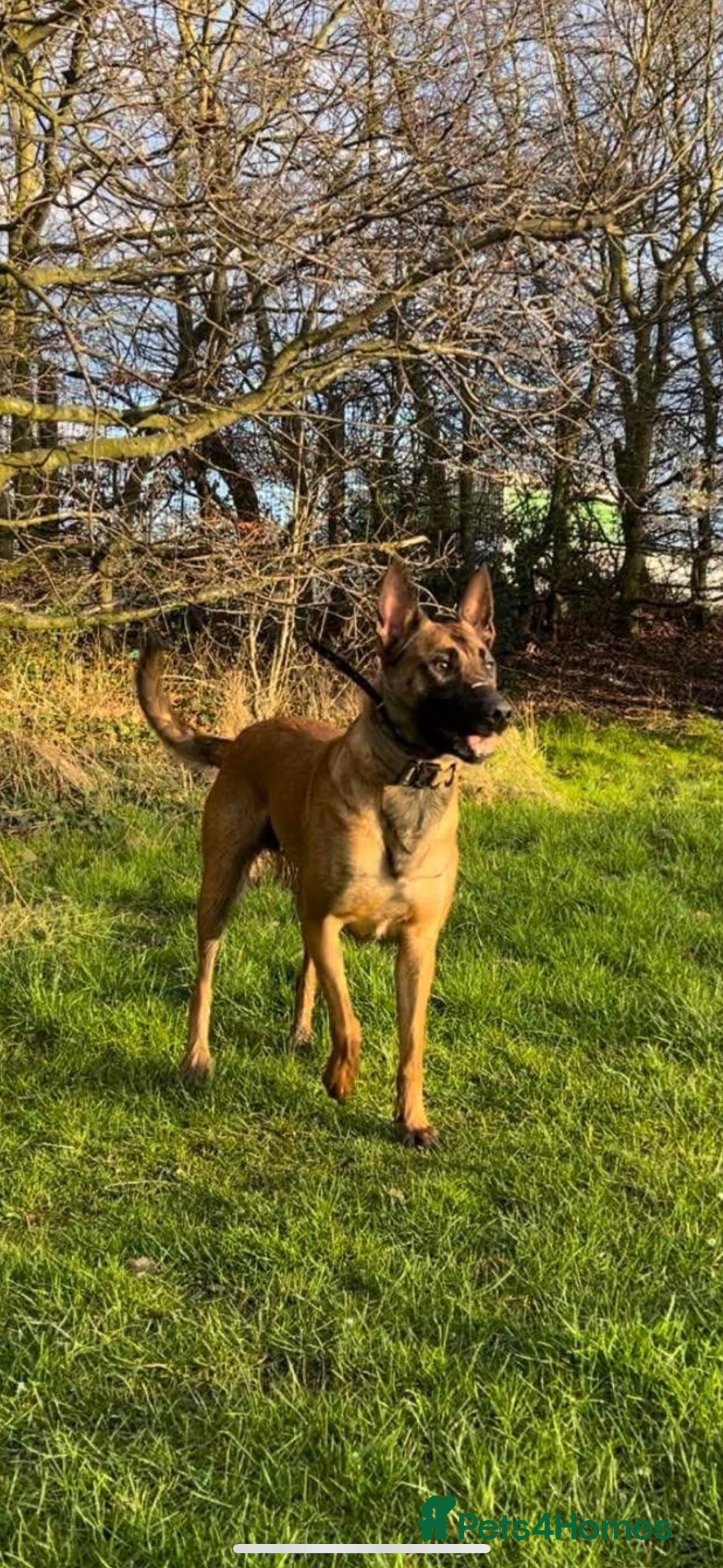 Valleywell don’t jinx it