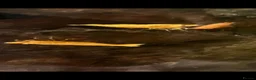 Shrimps fish for sale: Neocaridina shrimp  - Advert 6
