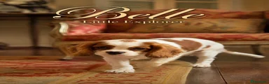 Cavalier King Charles Spaniel 1