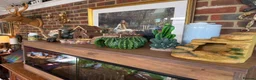 Python Snake reptiles for sale: 🌿 NEW BESPOKE 4FT REPTILE VIVARIUM full setup - Advert 2
