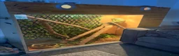 Iguana reptiles for sale: Male iguana  in Hull - Advert 3
