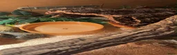 Corn Snake reptiles for sale: Carolina corn snake  - Advert 4