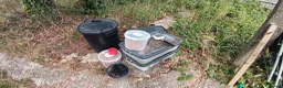 Chickens poultry for sale: Laying hens and set up for sale - Advert 4