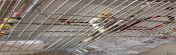Parakeets birds for sale: Parakeet (including cage and all accessories)  in Ebbw Vale - Advert 2