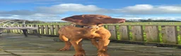 Hungarian Vizsla dogs for sale: 🌟Stunning, strong health tested KC pups 🌟  - Advert 29