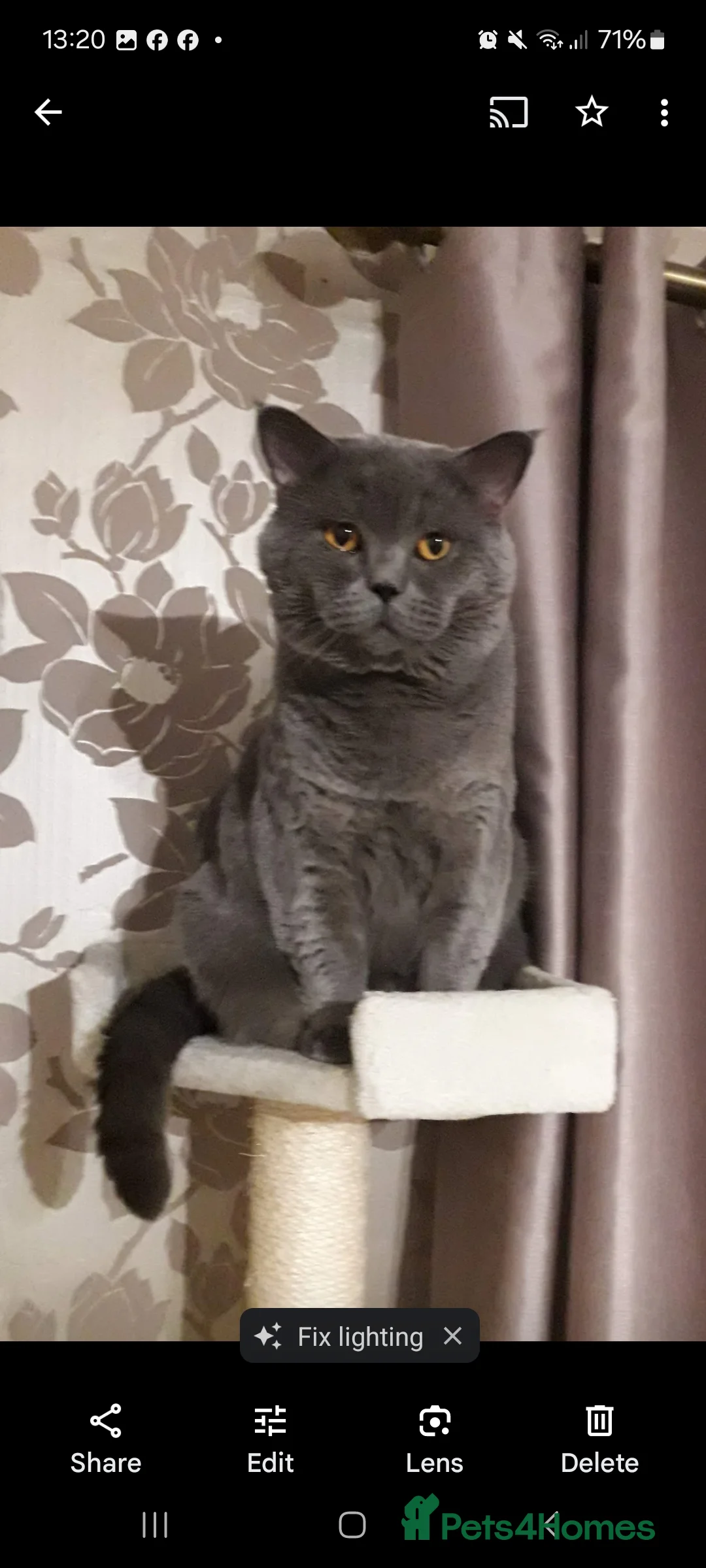 Gallery Image {{count}}