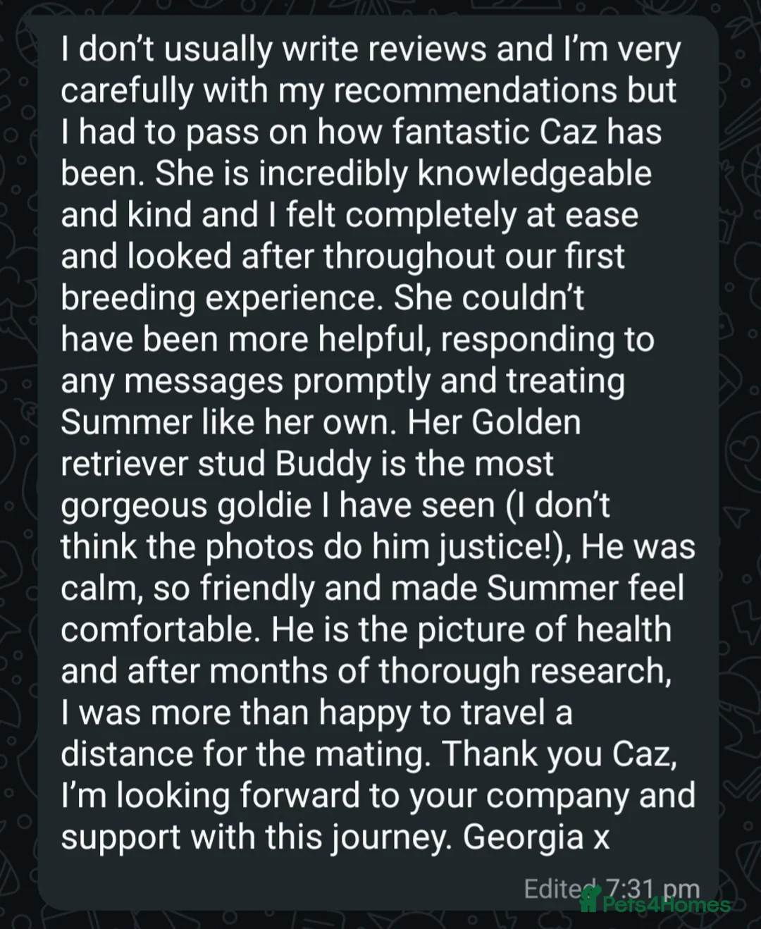 Golden Retriever dogs for stud: Extensively health tested show type kc reg in Bedford - Advert 30