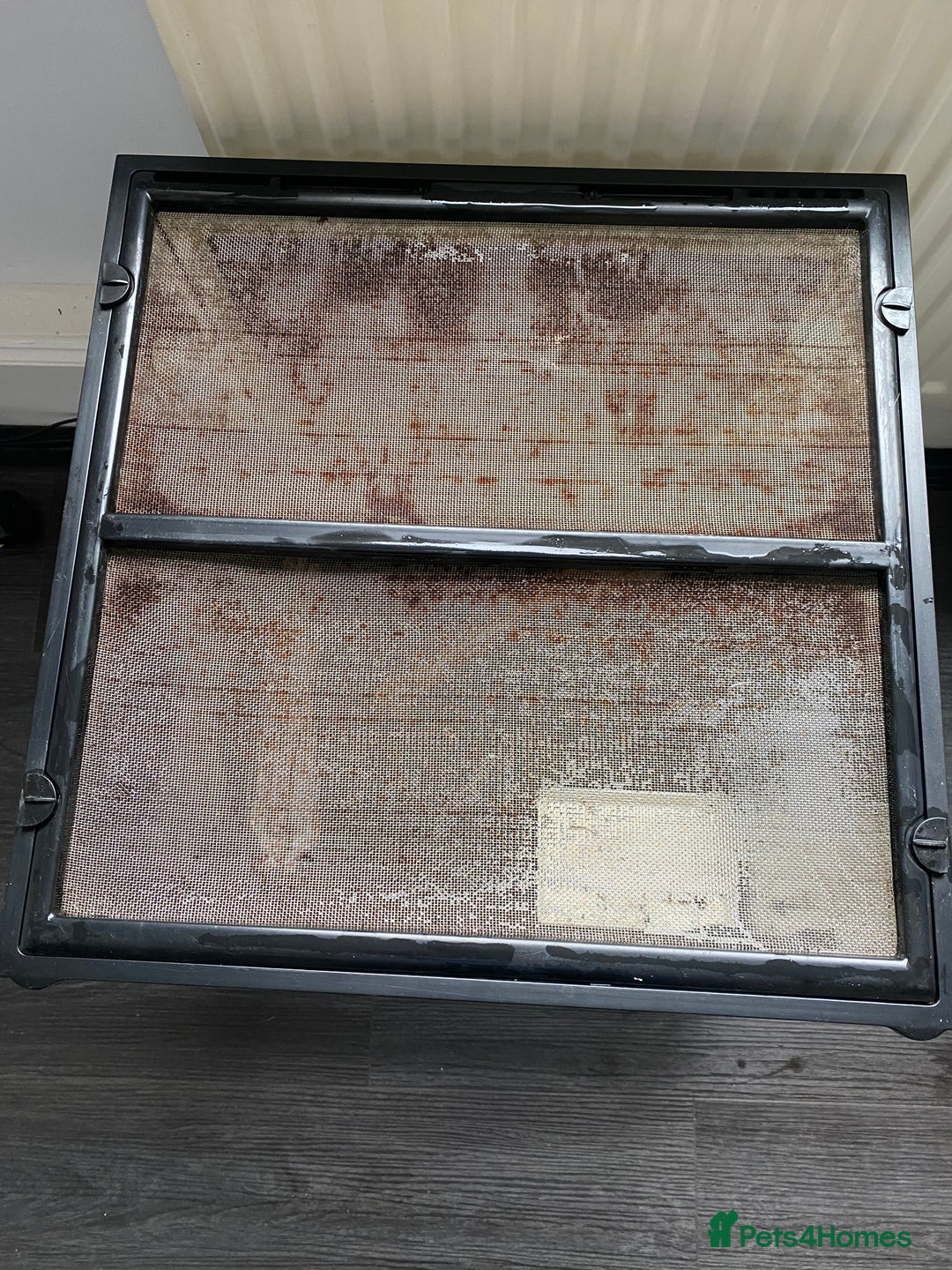 Snails invertebrates for sale: Giant African land snails and enclosure - Image 7