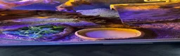 Bearded Dragon reptiles for sale: Bearded dragon + full vivarium setup + storage in Worthing - Advert 8