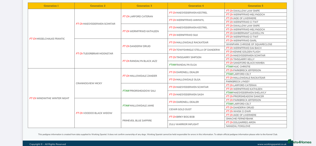 Cocker Spaniel dogs for stud: Field Trial Winner Stud (Proven)  - Image 4