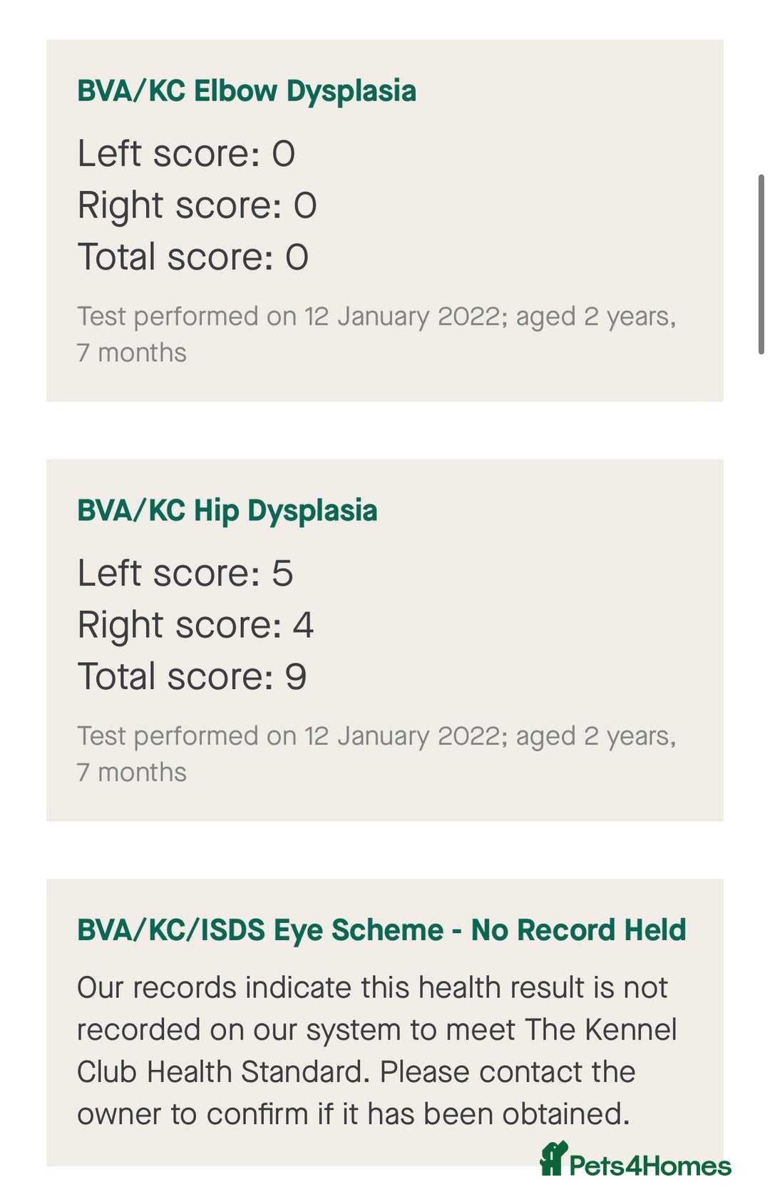 German Shepherd dogs for sale: KC health tested 💙boys  - Advert 6