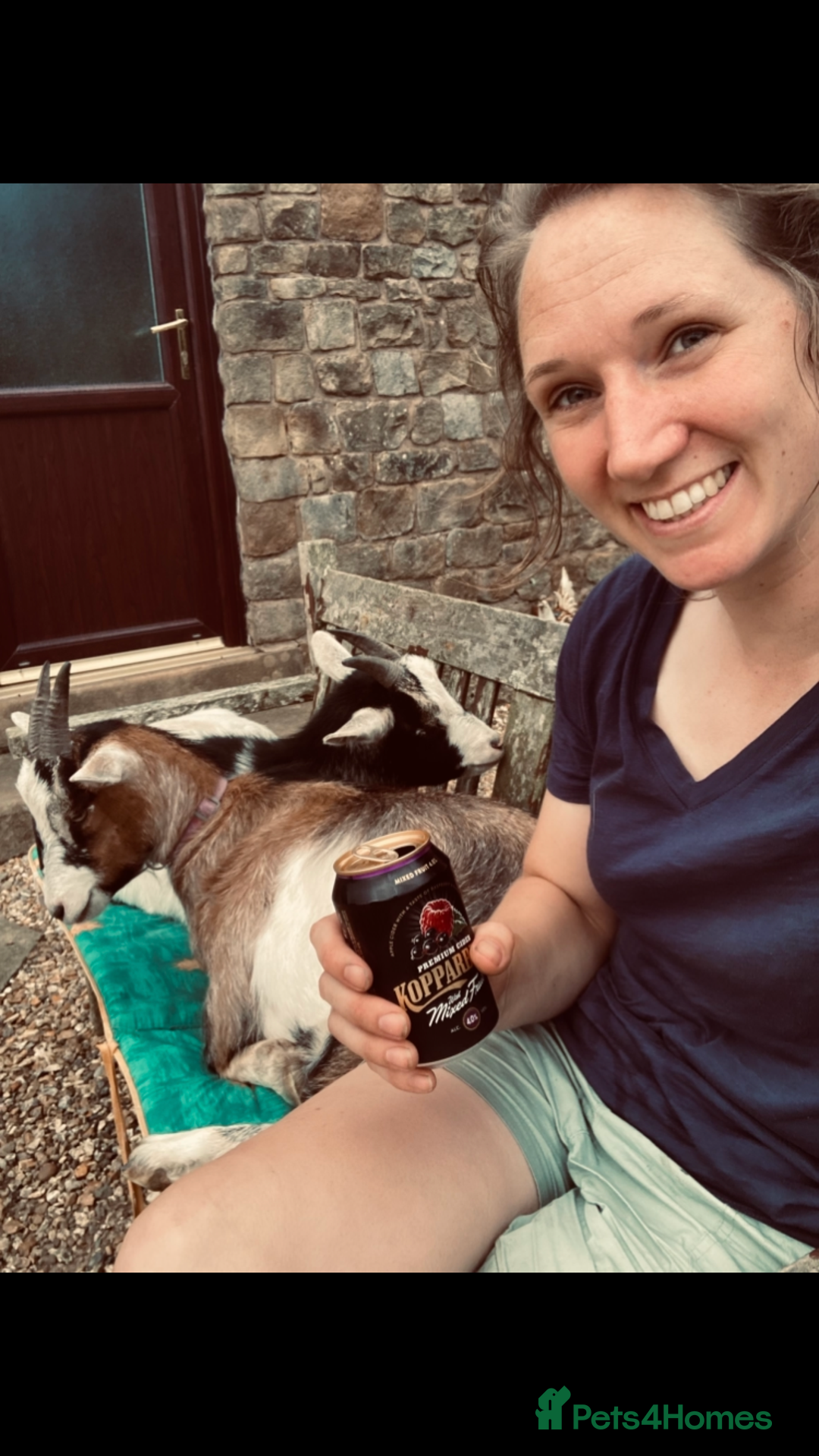 Goats livestock for sale: Nanny pygmy goats - Advert 2