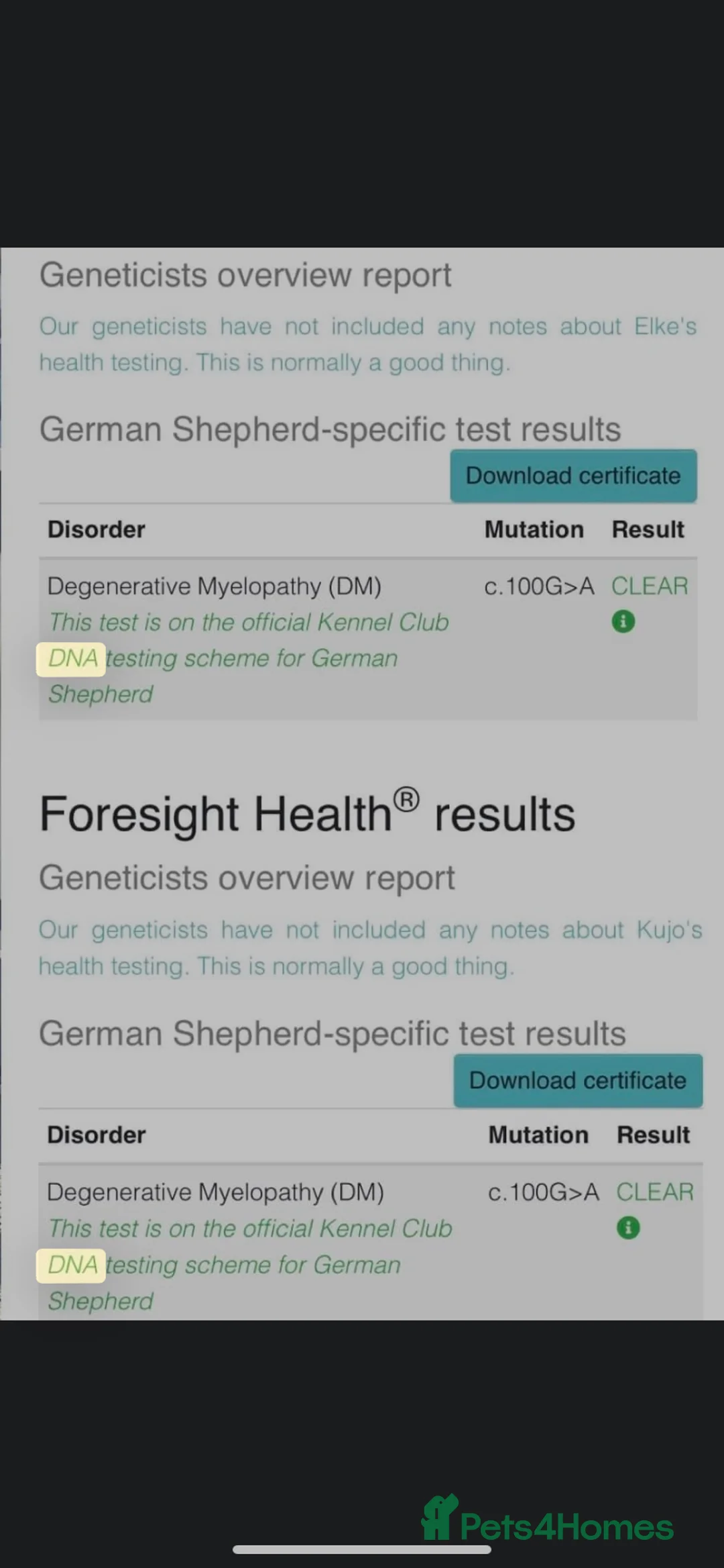 German Shepherd dogs for sale: Beautiful German shepherd pups **DM Clear!** - Advert 20