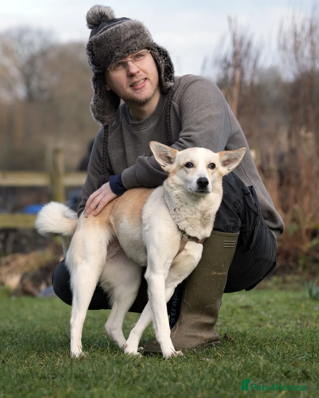 Mixed Breed dogs for adoption: Egyptian girl Cleo is looking for her forever home - Advert 1