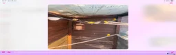 Canaries birds for sale: Mix Canaries Gloucester’s dimorphic ect - Advert 1