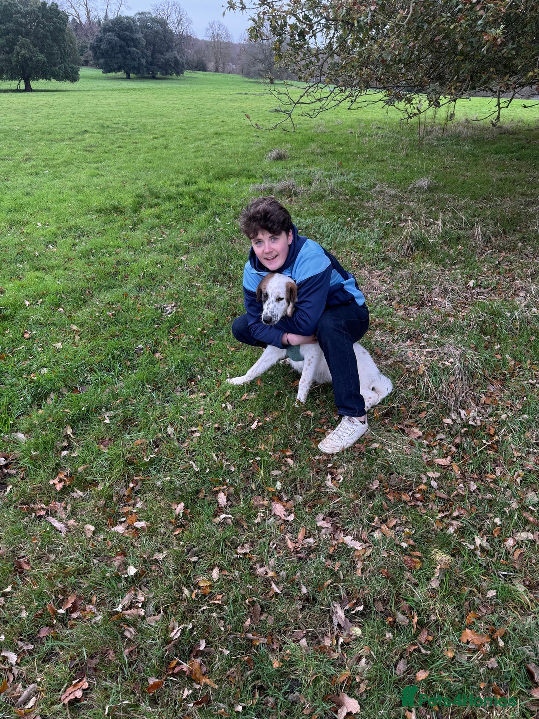 Mixed Breed dogs for sale: Winnie  - Advert 5