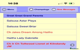 Dalmatian dogs for sale: Stunning Dalmatian puppies KC reg show winners - Image 6