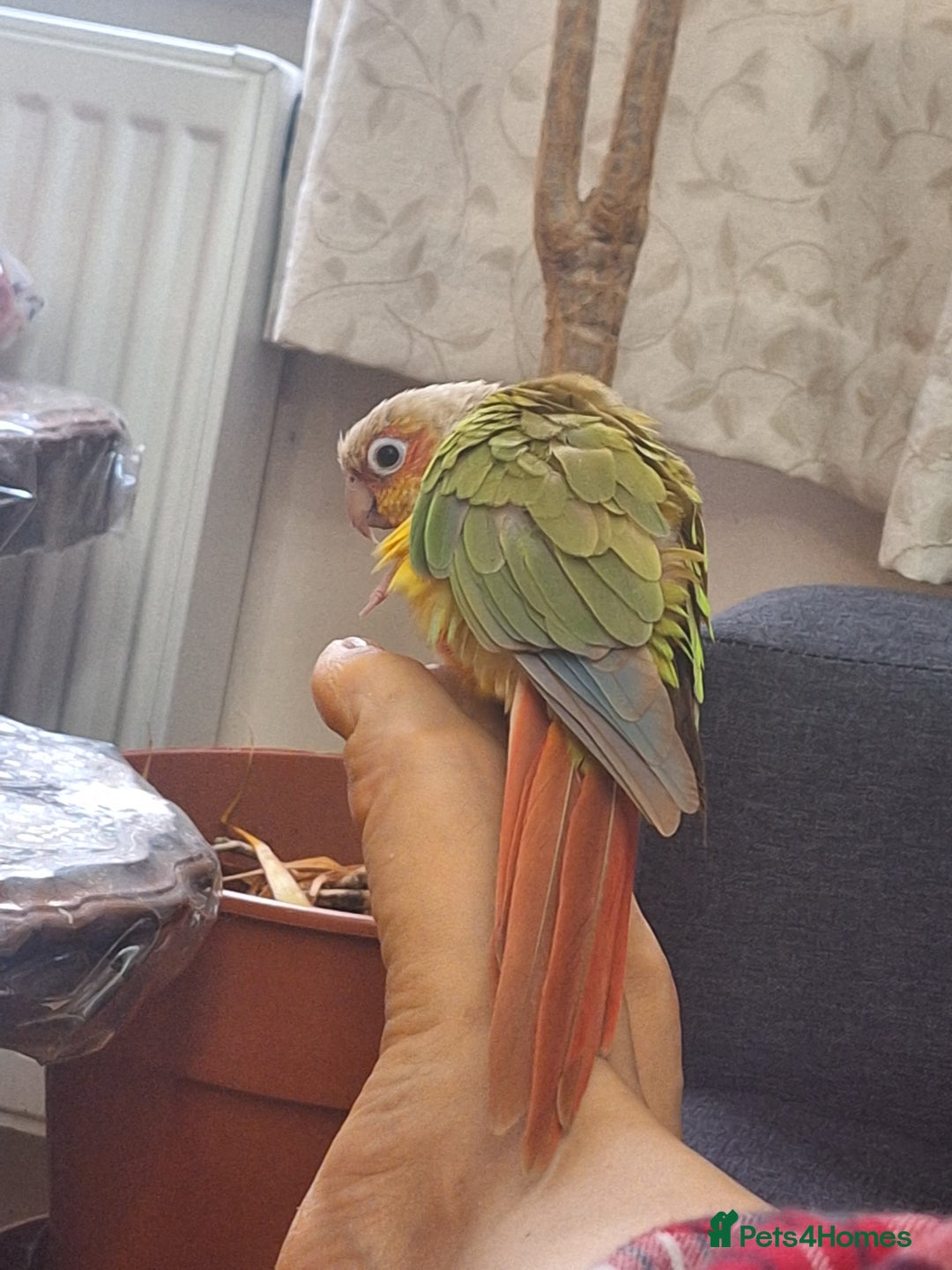 Gallery Image {{count}}