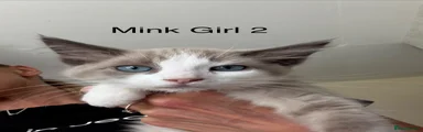 Ragdoll 7