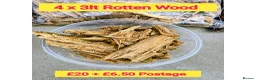 Millipedes invertebrates for sale: Pick & Mix see Photos  - Advert 3