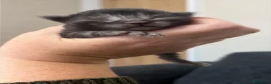 Ragcoon GIRL