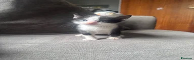Black and white 
