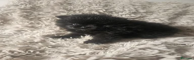 Pomeranian 2