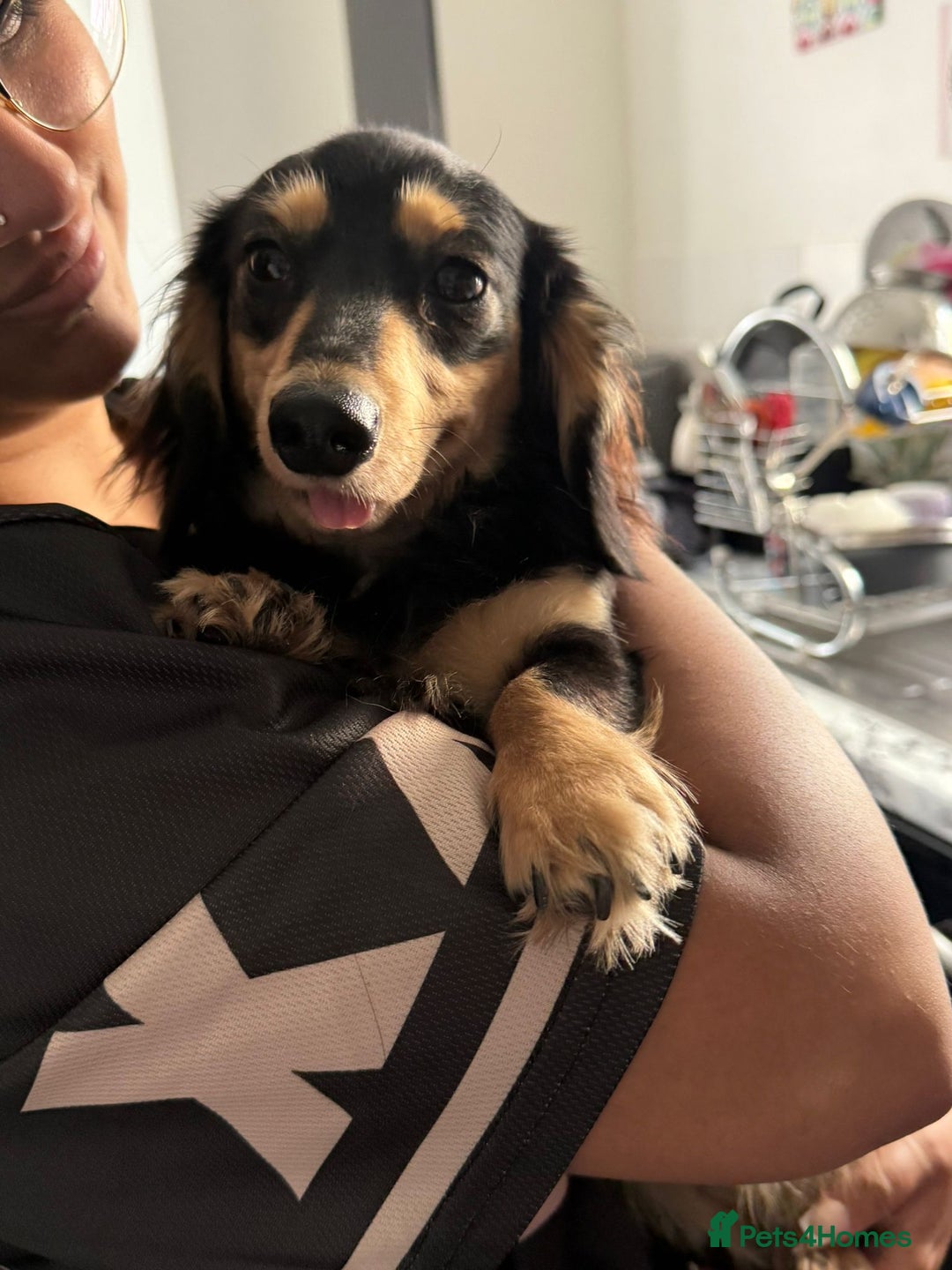 Miniature Dachshund dogs for sale: Beautiful Maï - Image 2