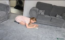Rex rabbits for sale: Rosie ♡ in Bolton - Image 1