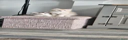Maine Coon cats for sale: Stunning TICA Registered Maine coon Kittens  - Advert 4
