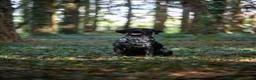 German Shorthaired Pointer dogs for stud: KC registered GSP For Stud - Advert 15
