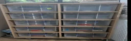 Python Snake reptiles for sale: Rack system with royals  - Advert 1