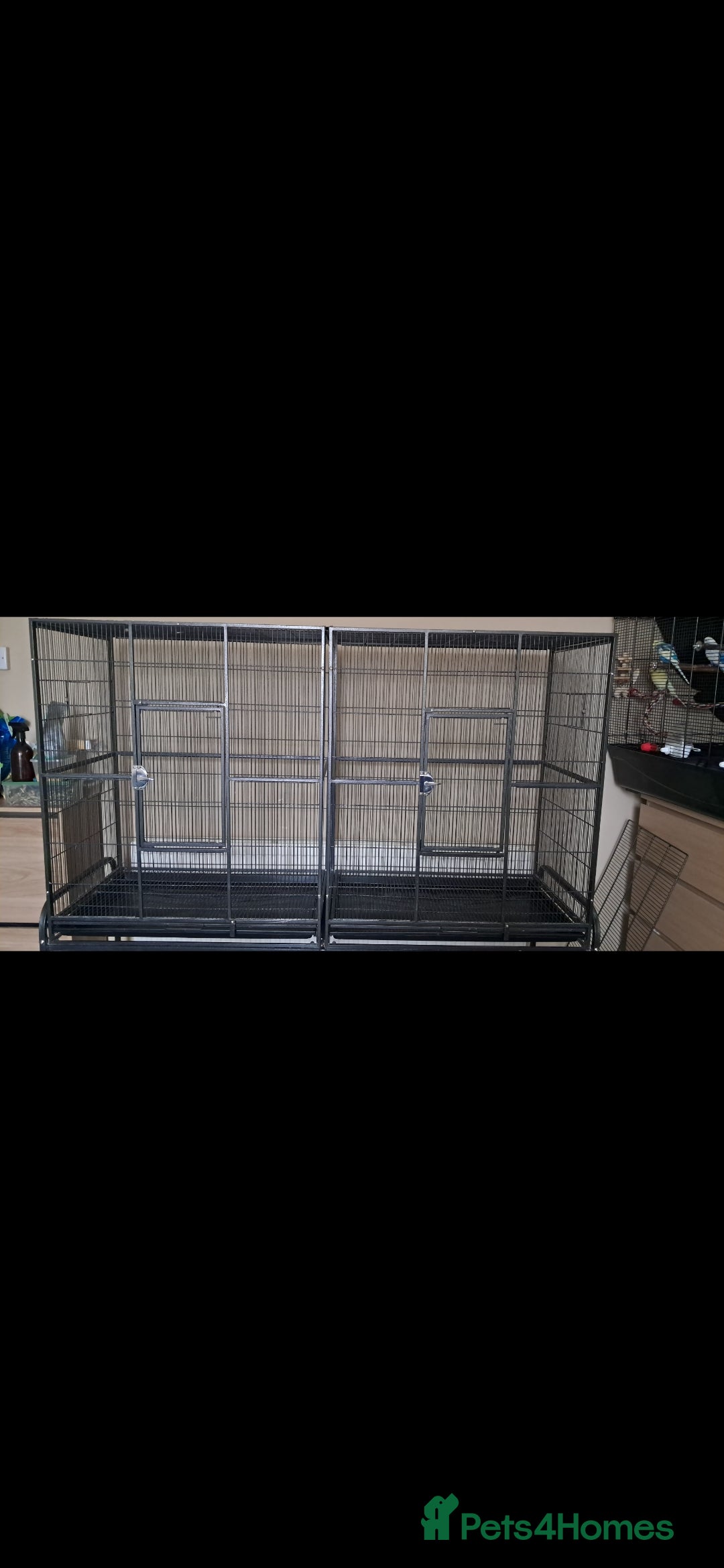 Mixed Breed birds for sale: Large bird cage - Advert 2