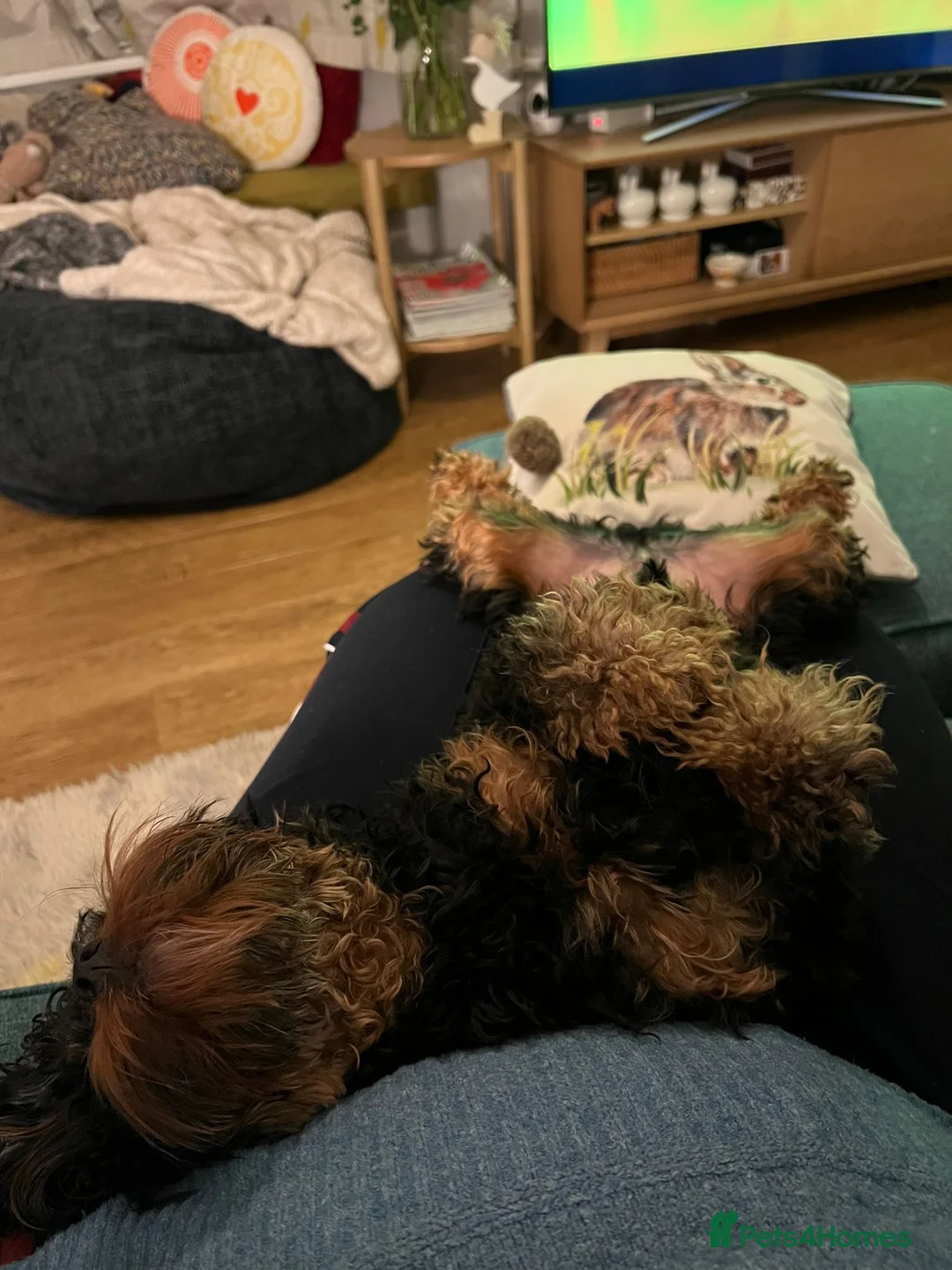 Gallery Image {{count}}