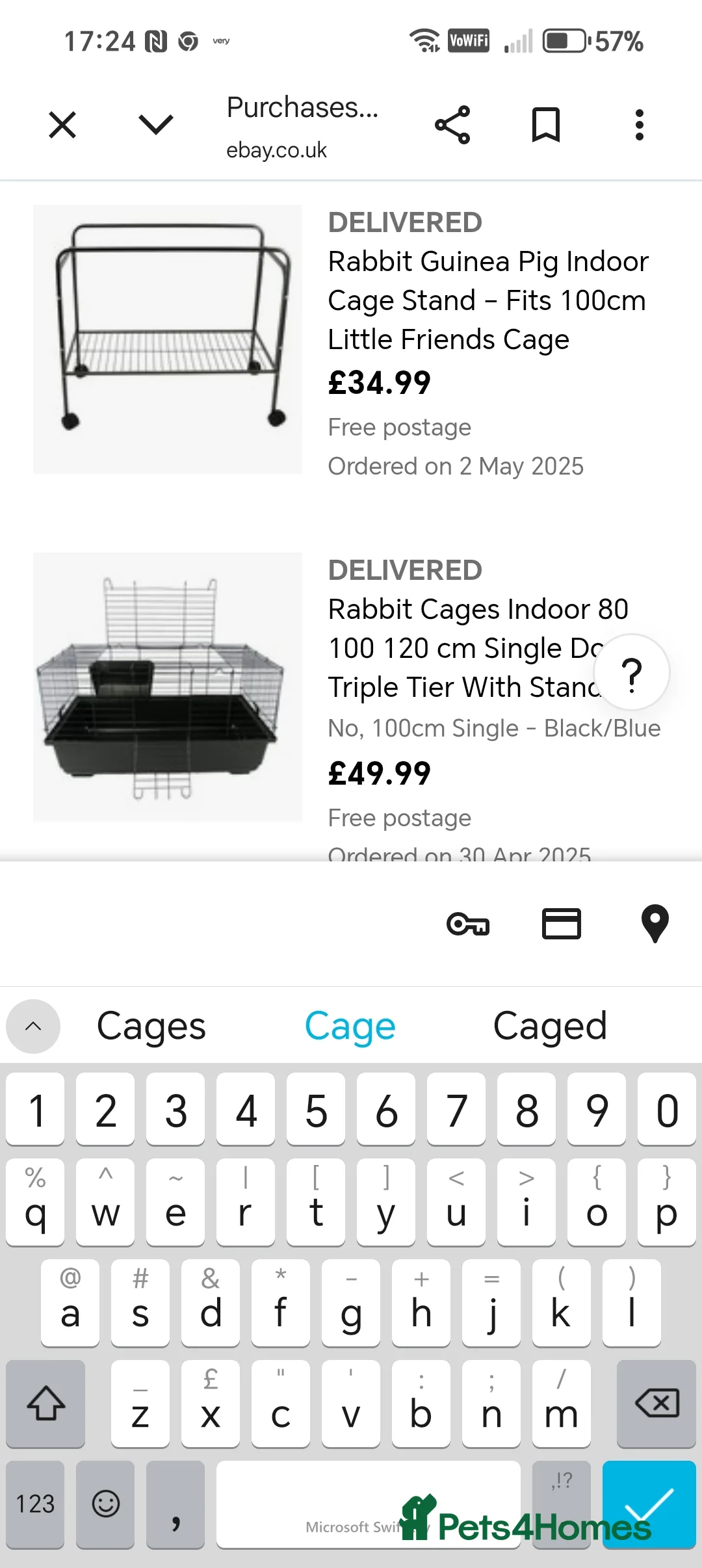 Guinea Pig rodents for sale: 2 male guinea pigs in ELY - Advert 4