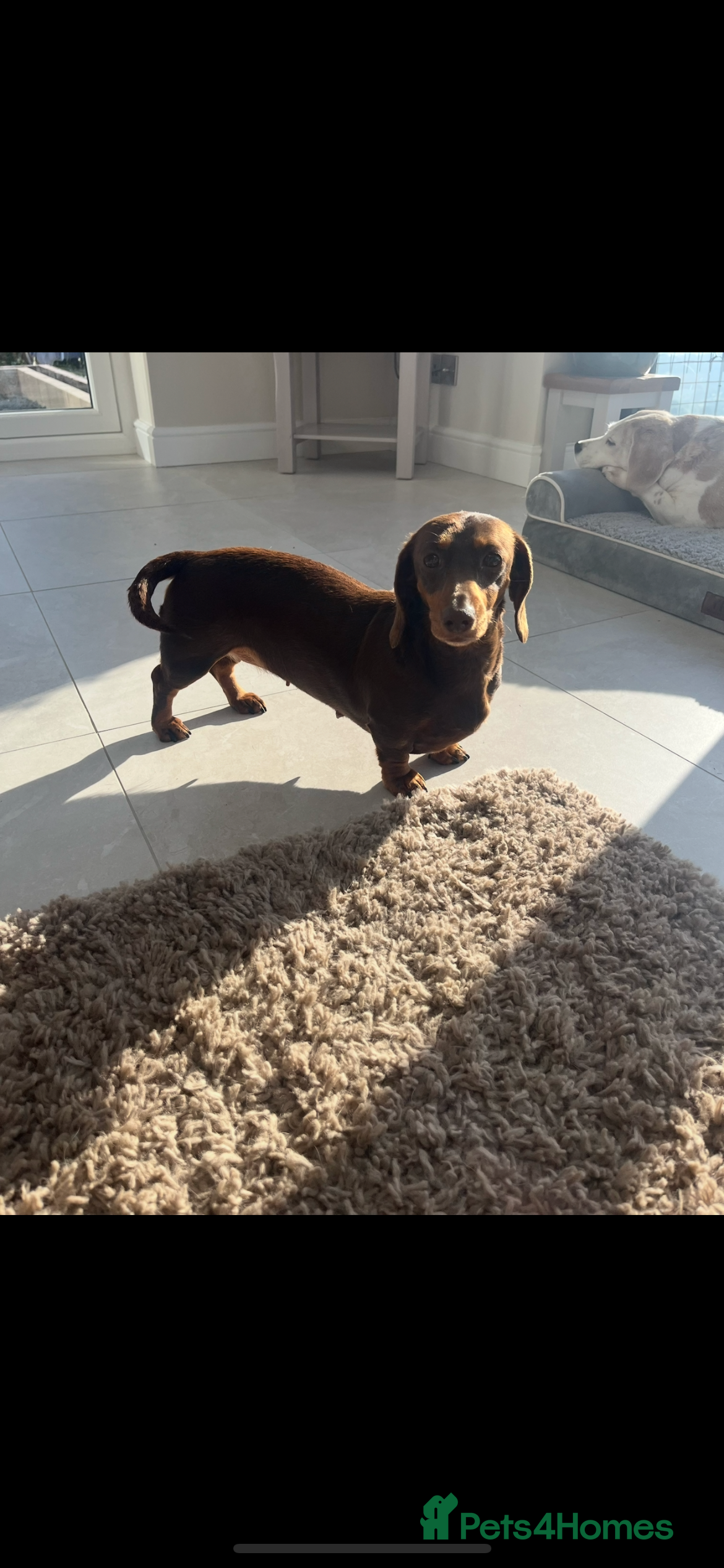 Coco