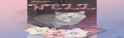 British Shorthair cats for sale: 💜 Precious Litter Of BSH Kittens 💜 - Advert 7