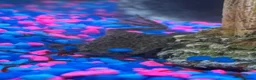 Live Bearers fish for sale: African dwarf frog  in Coventry - Advert 1
