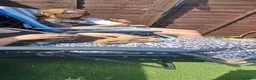 Mixed Breed rabbits for sale: Baby bunnies  - Advert 18