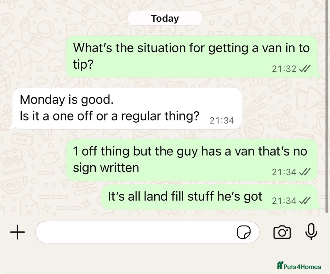 Mixed Breed dogs for sale: Pocket bulldog  Siberian husky x pocket pitskys - Advert 2