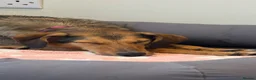 Mixed Breed dogs for adoption: Gentle | Sweet | Dog Loving | Foodie - Advert 4