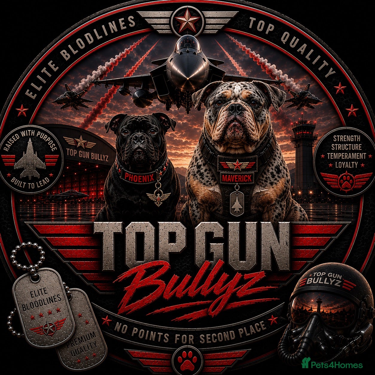 Olde English Bulldogge dogs 🔥 THE WAIT IS OVER… OUR ELITE LITTER HAS ARRIVED! - Advert 1