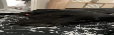 Mira