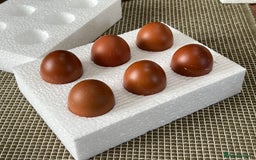 Chickens poultry for sale: Hatching eggs  - Image 1