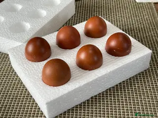 Chickens poultry Hatching eggs - Advert 1