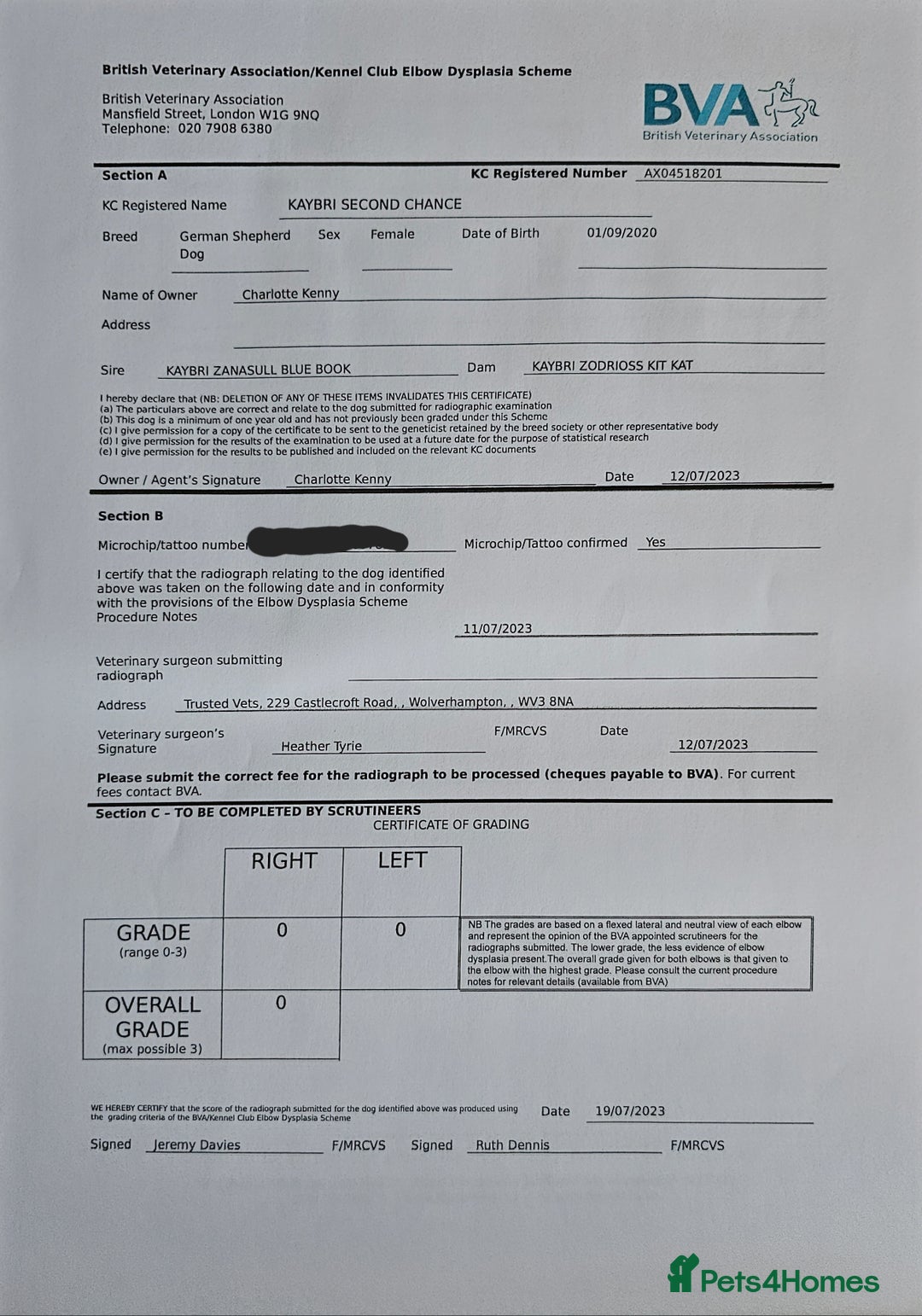 German Shepherd dogs for sale: 💠5 Beautiful healthy KC reg straight back GSP's💠 - Advert 21