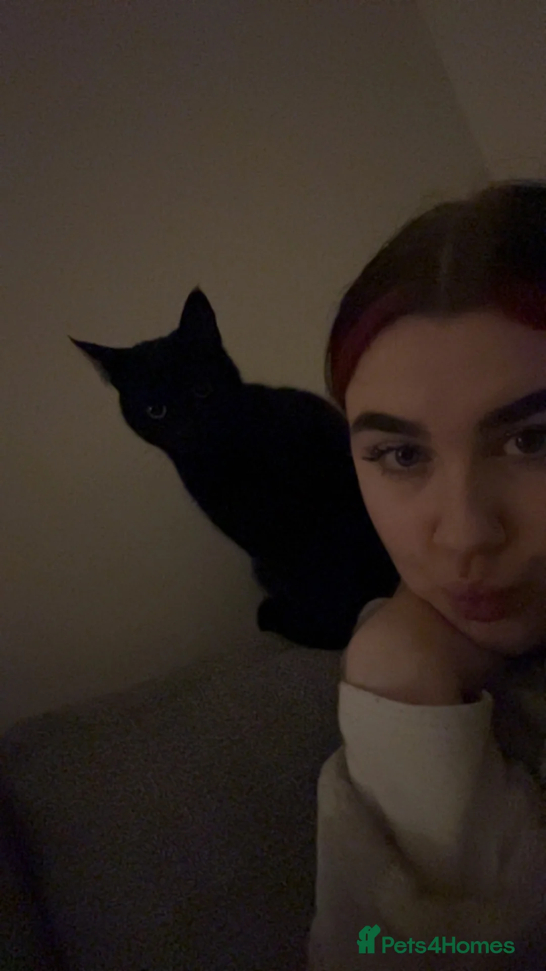 Gallery Image {{count}}