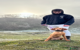Hungarian Vizsla dogs for sale: Female Hungarian Vizsla Gia for sale - Image 4