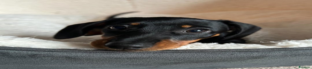 Florence, our last little girl