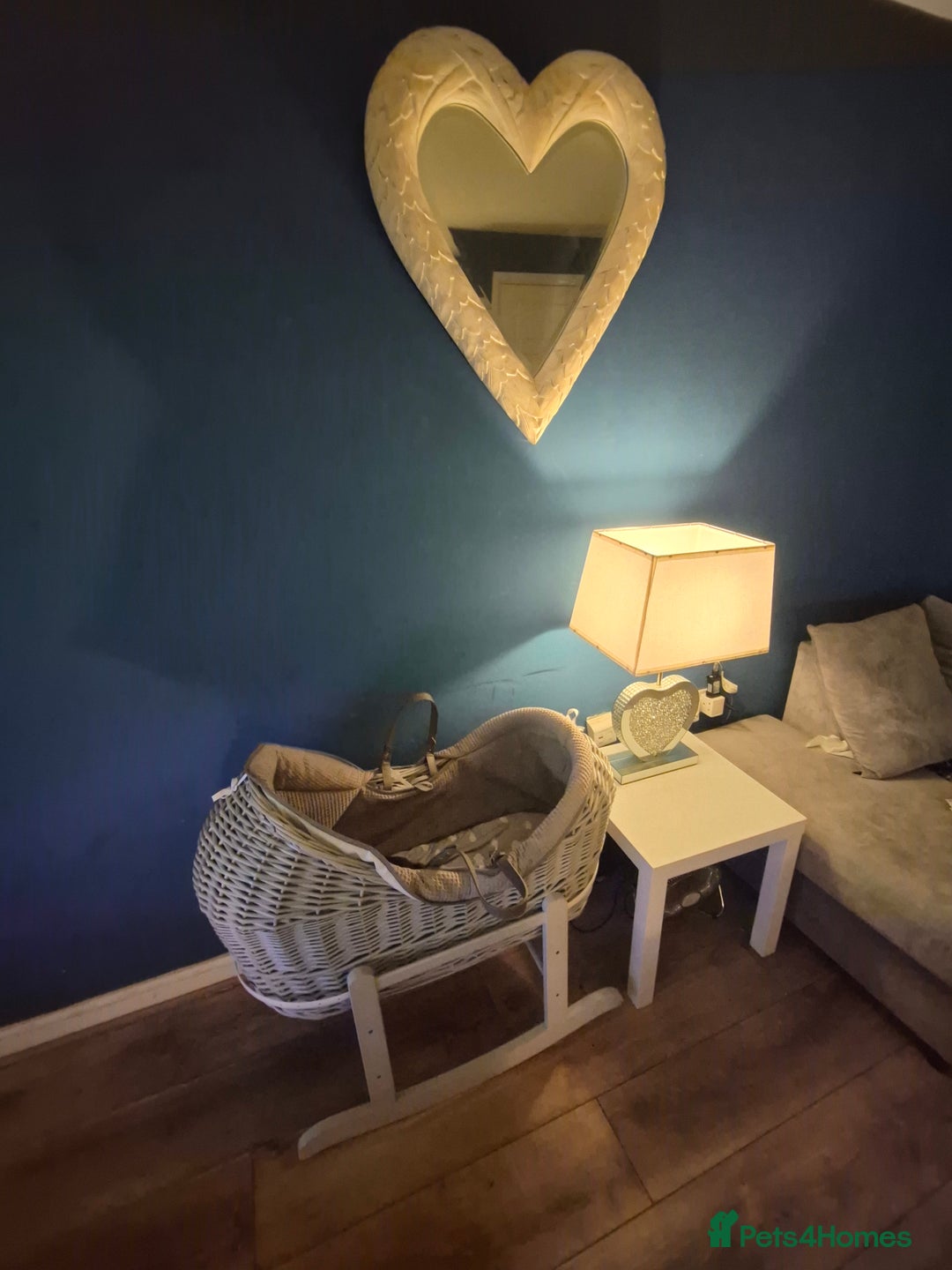 Mixed Breed cats for sale: Beautiful kittens, I have both parents  - Advert 6